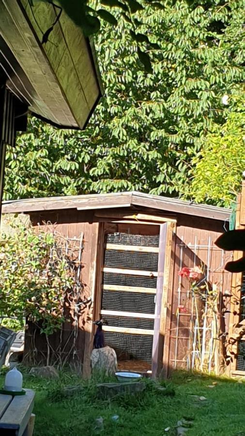 באד ארסולן Ferienhaus Nr. 60 Im Ferienpark Am Twistesee מראה חיצוני תמונה