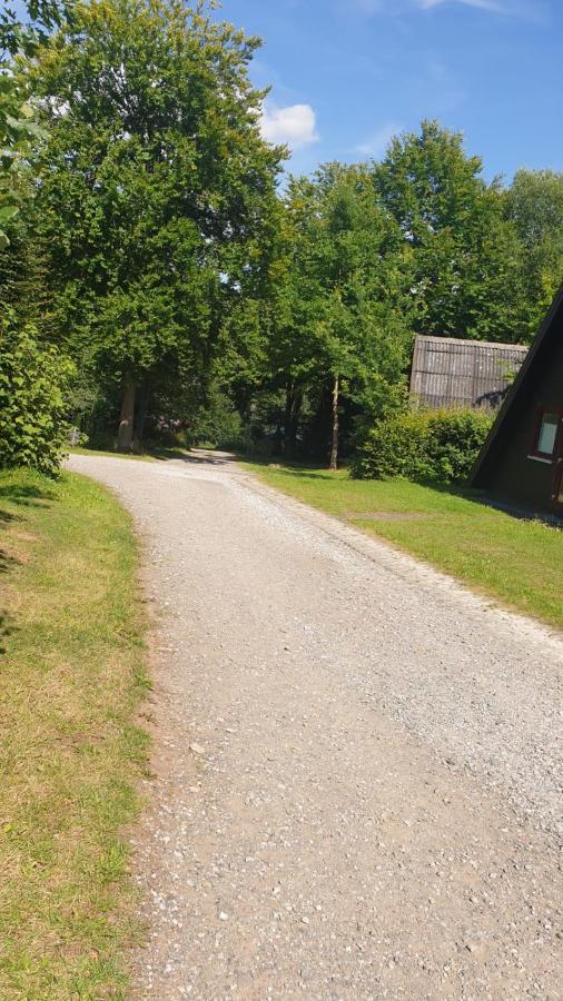 באד ארסולן Ferienhaus Nr. 60 Im Ferienpark Am Twistesee מראה חיצוני תמונה
